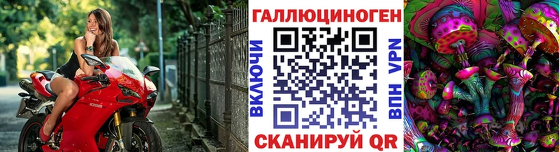 Галлюциногенные грибы Cubensis  Североуральск 