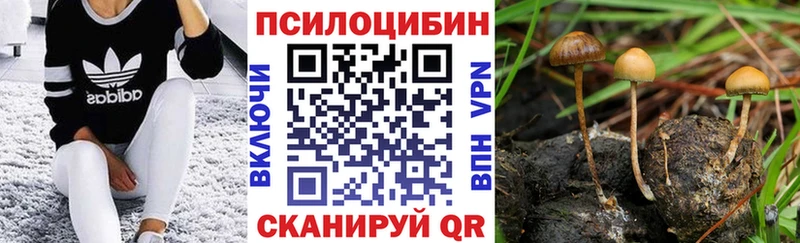 Галлюциногенные грибы Cubensis Североуральск